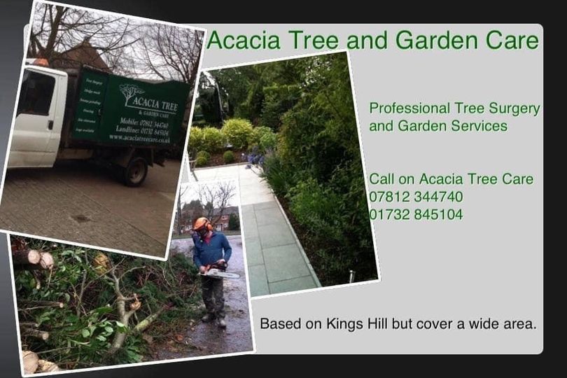 Tree surgeon in West Malling